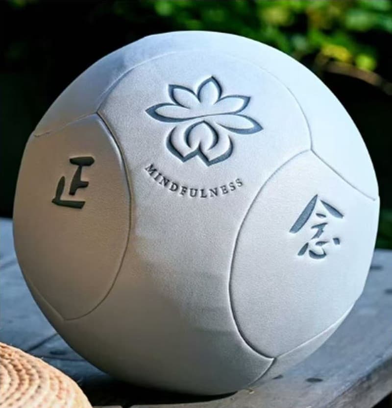 太极正念球体验  + 读书