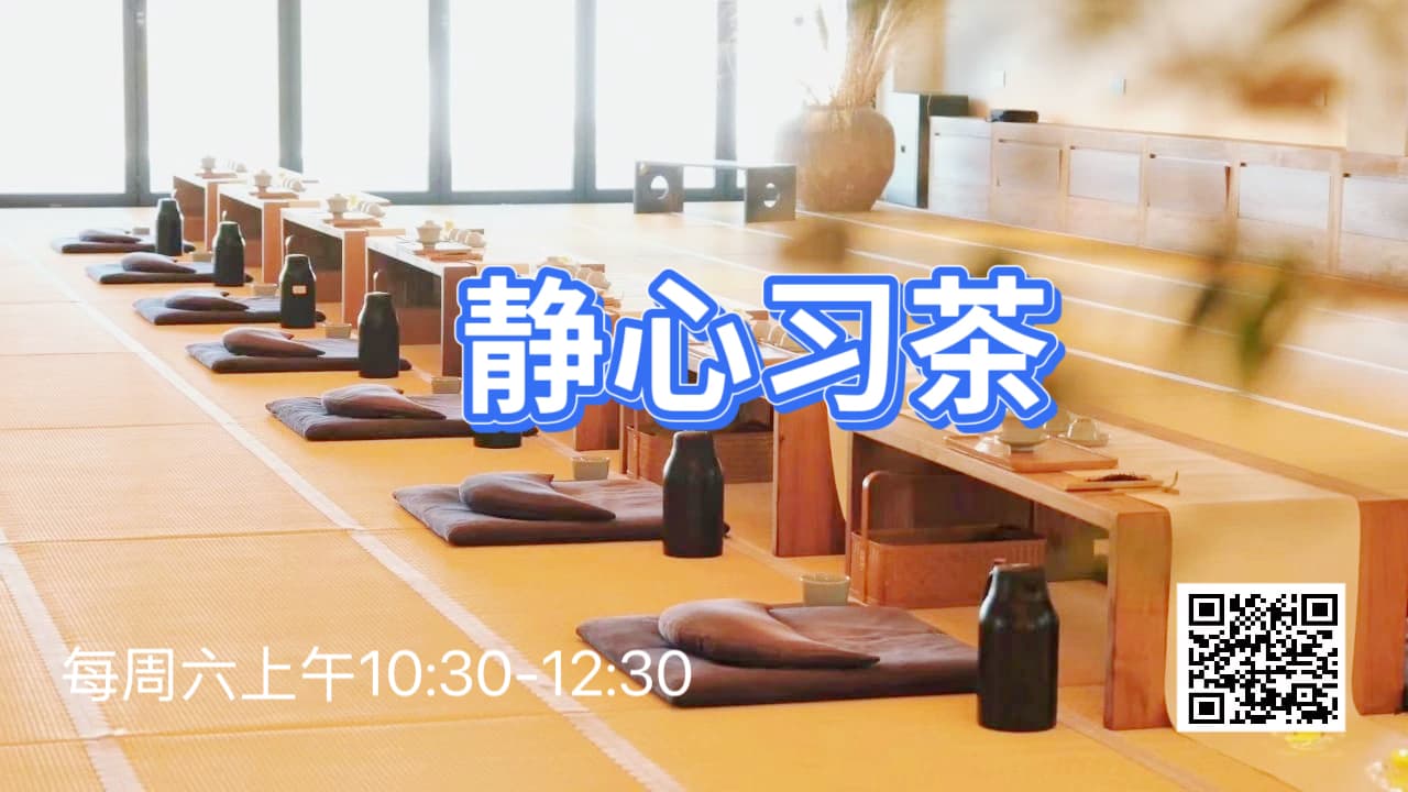 静心习茶 